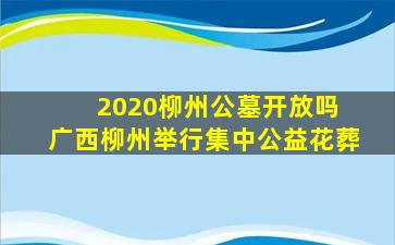 2020柳州公墓开放吗 广西柳州举行集中公益花葬